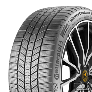 Padangos WinterContact 8S 105 V XL (B B B  73dB)