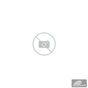 FRONWAY 205/45 R17 88V ICEMASTER I XL