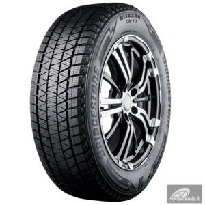 Padanga 315/35R20 Bridgestone DM-V3 110T XL