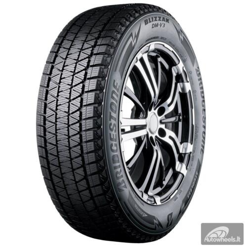 Padanga 295/35R21 Bridgestone DM-V3 107T XL