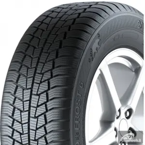 Padangos EURO*FROST 6 94 T ( D C B 72dB )