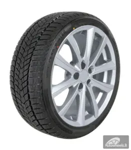 Padanga CrossWind Grip Peak Winter R16 215/55