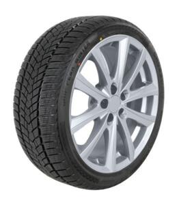 Padanga CrossWind Grip Peak Winter R20 275/40