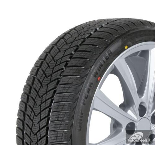 Padanga CrossWind Grip Peak Winter R20 255/45