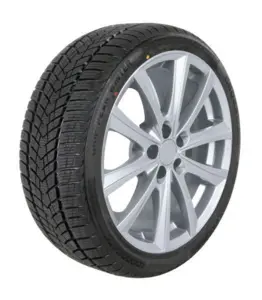 Padanga CrossWind Grip Peak Winter R21 295/35